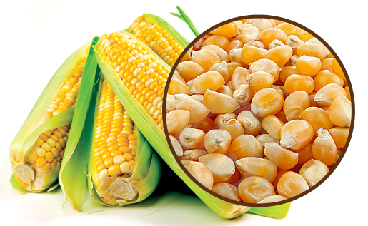 Whatever you want, just contact us