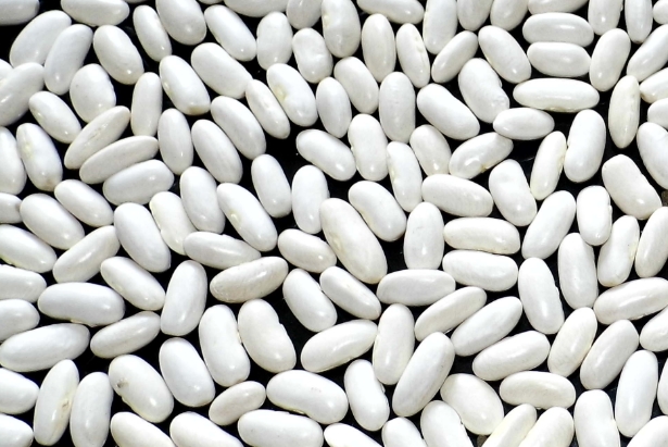 Whatever you want, just contact us